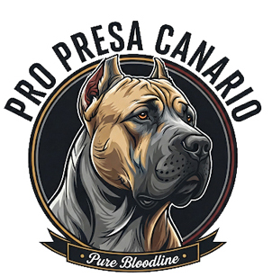 Presa Canario dog illustration with "Pro Presa Canario" logo and "Pure Bloodline" tagline, emphasizing quality breeding and lineage.